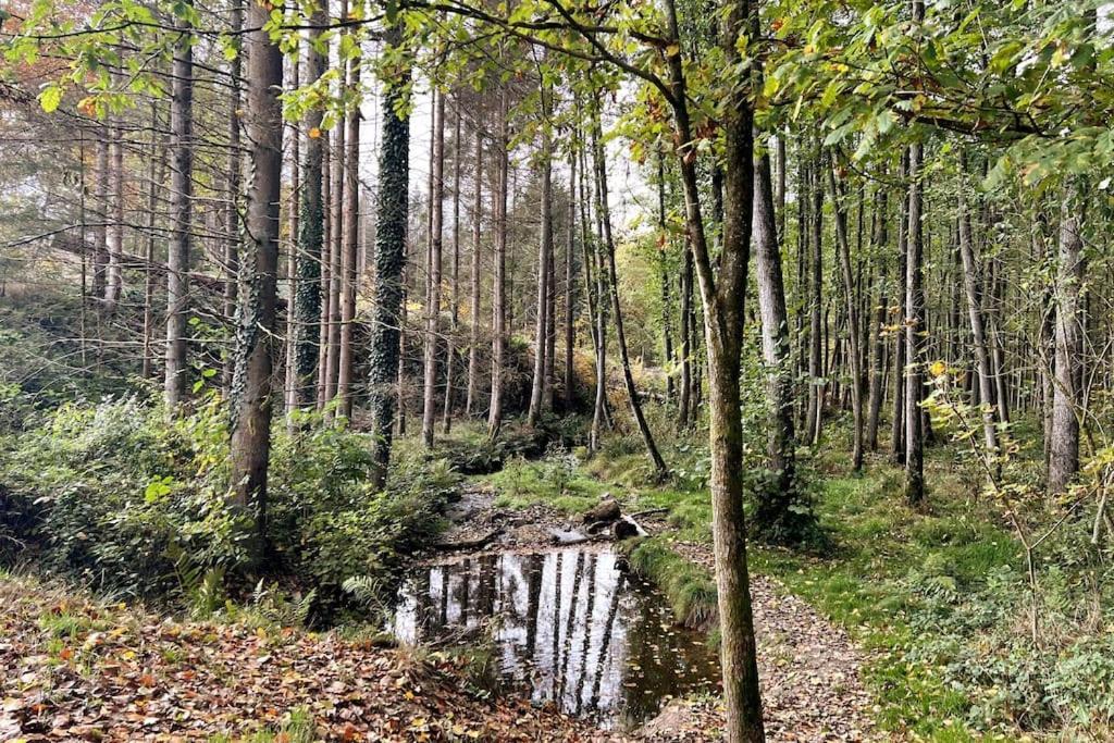 Forest Retreat- Serene 160M2 With Forest Views Вермелскирхен Екстериор снимка